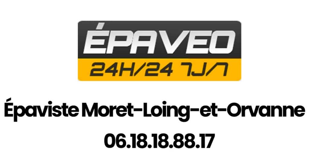épaviste Moret-Loing-et-Orvanne